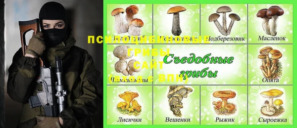 эйфоретик Абаза