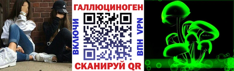 Галлюциногенные грибы Psilocybine cubensis  хочу   Юрга 